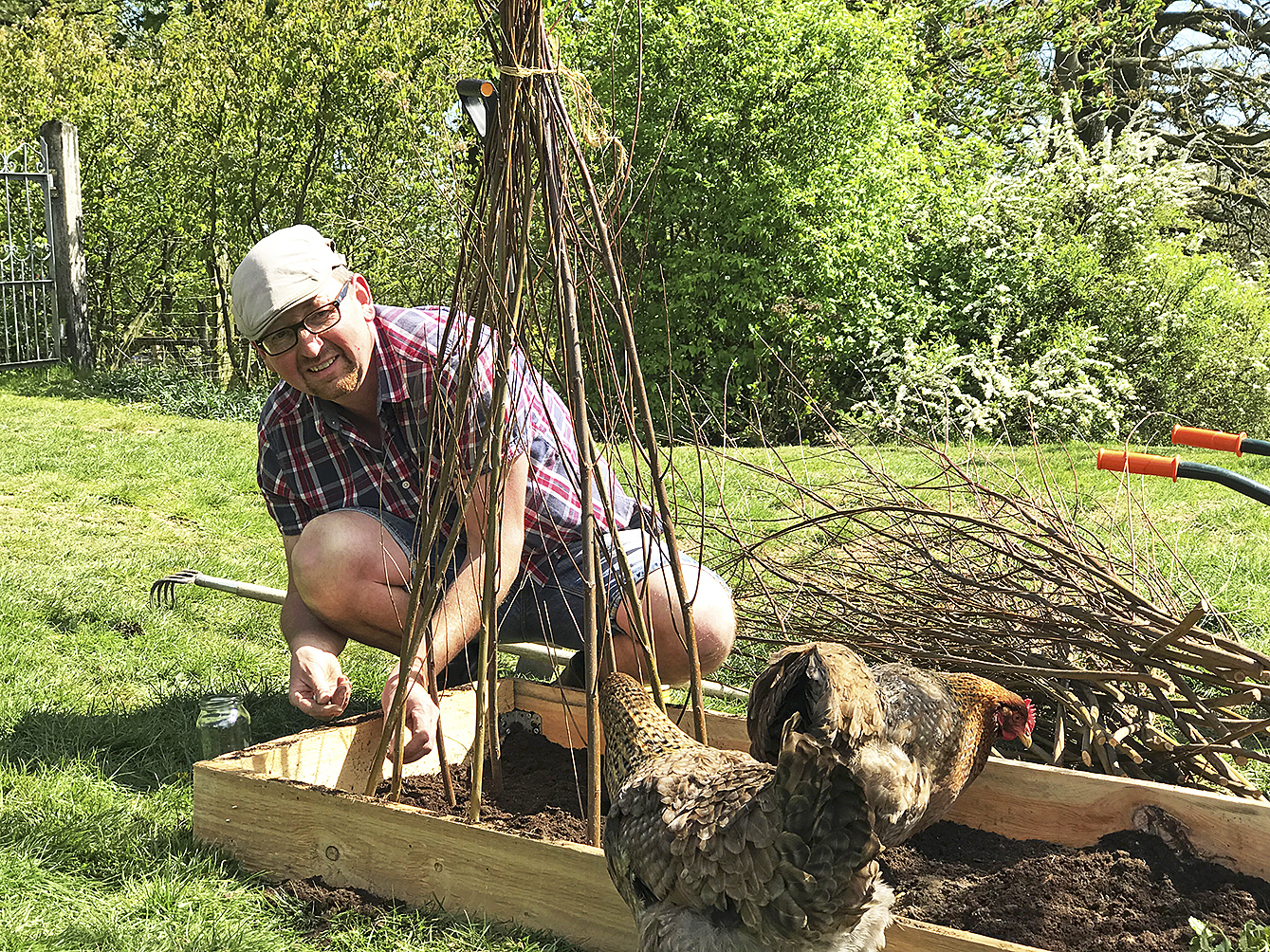 Im Holzbeet wachsen Ringelblumen, Stangenbohnen und Waldmeister