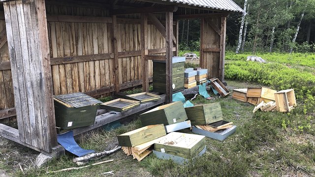 "Das war ein schlimmer Anblick": So fand Inga Salerno 
ihren Bienenstand vor  | Foto: Salerno