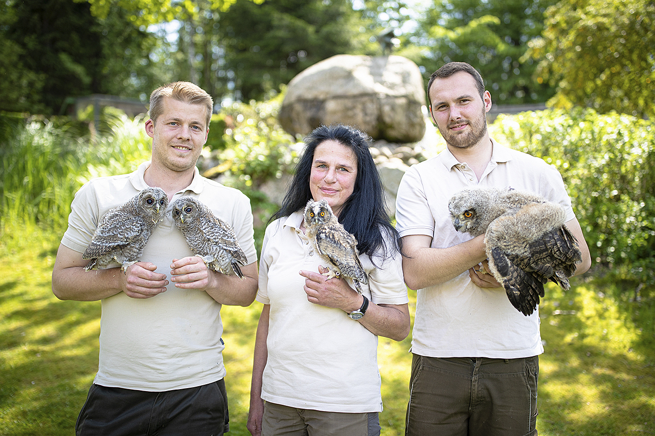 Wildpark-Falkner Michael Kirchner (v. li.) mit zwei Waldkäuzen, Elke Siebert zeigt eine Waldohreule und Lukas Feyen hat einen Uhu auf dem Arm