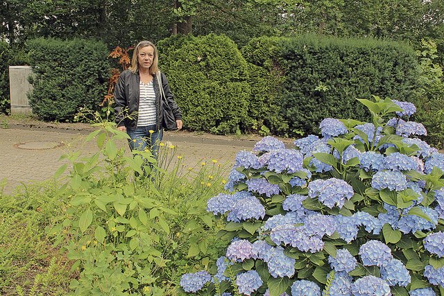 Am Eingang des Friedhofs ist ein Beet, bei dem alles kreuz und quer geht. Renate Mewes stellt fest: "Hier hat sich Springkraut neben Löwenzahn angesiedelt"