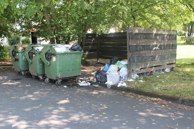 Überquellende Mülltonnen sind im Altländer Viertel kein seltener Anblick | Foto: lt
