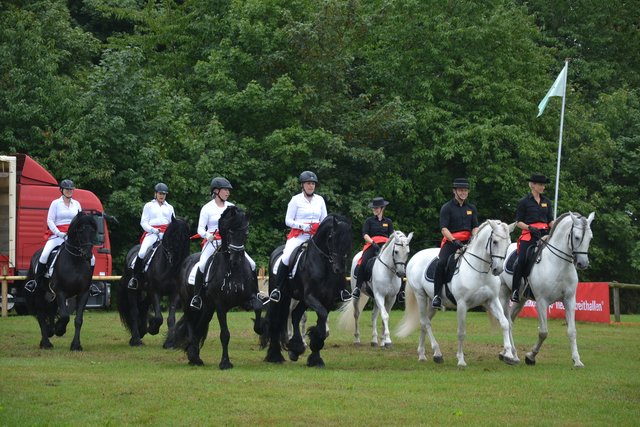 Das Showteam Mirage Español und der Friesenstall Marschhorst zeigen zusammen ihr Können mit der Quadrille "Schwarz/Weiß" | Foto: sc