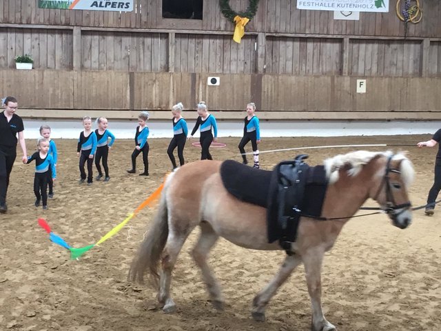 Haflinger Ribana mit ihren Volti-Kids | Foto: RV Düdenbüttel