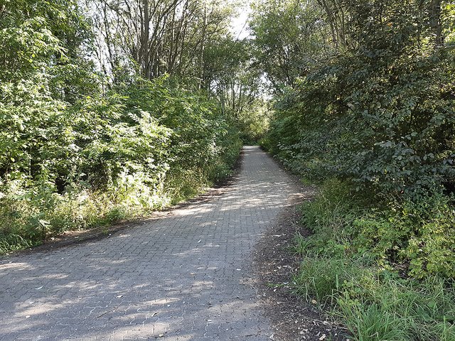 Für den Verkehr vorbereitet, aber nicht genutzt: Wege in dem Waldstück zwischen Gerstenkamp und Feldkamp