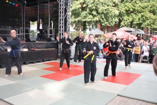 Vorführung von Shionson Hapkido