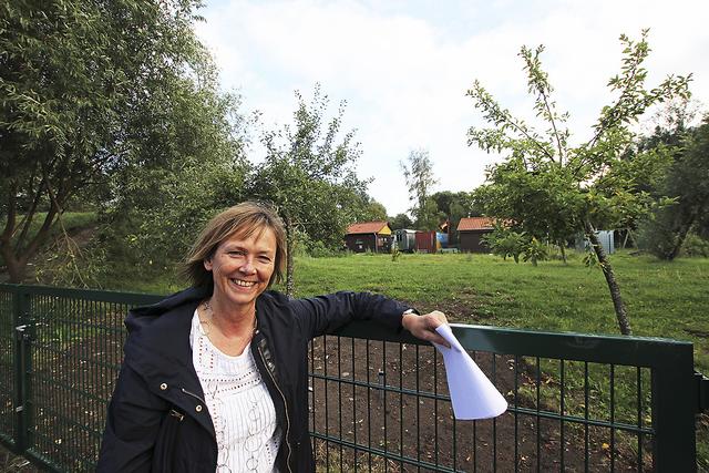 5. Kinderbetreuung sichern: das Gelände der geplanten Interims-Kita