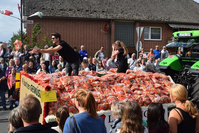 Impressionen: Erntedankfest Bardowick 