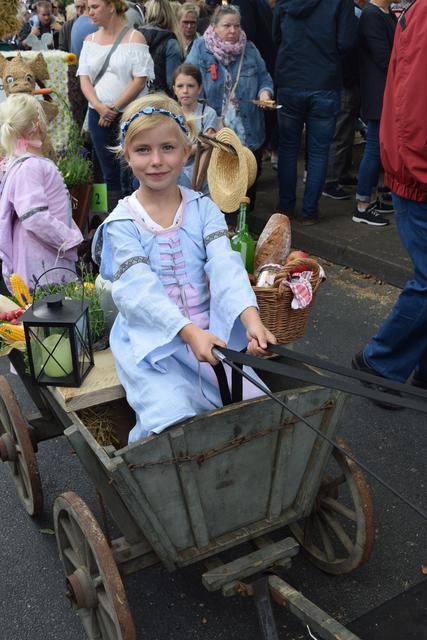 Impressionen: Erntedankfest Bardowick 