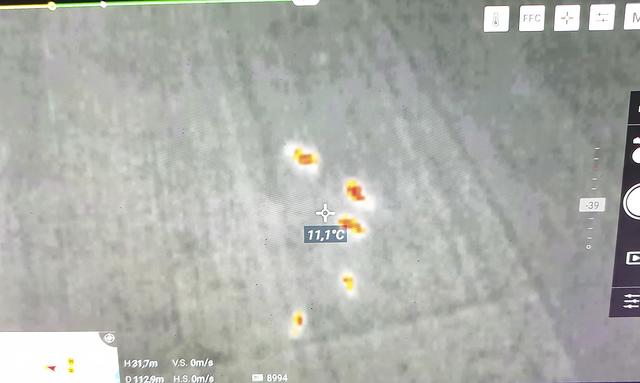 Die Drohne kommt unter anderem bei der Personensuche zum Einsatz - hier ein Bild, das mit der Wärmebildkamera aufgenommen wurde