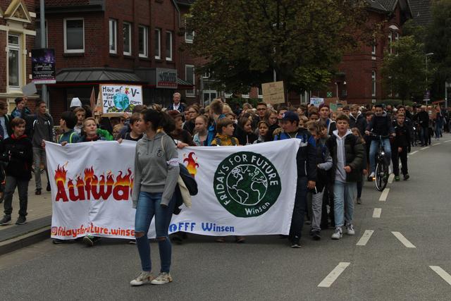 Impressionen der Demo in Winsen | Foto: thl