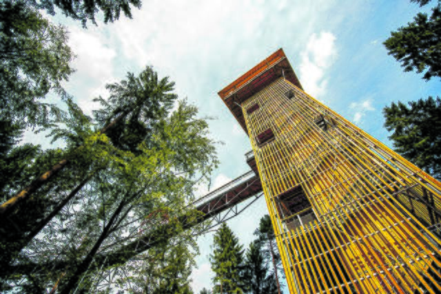 Der Turm mit der 150 Quadratmeter großen Plattform ist 45 Meter hoch