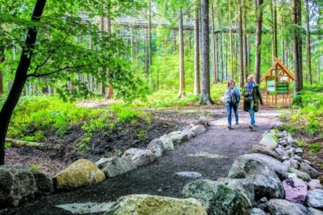 Herzstück des Projekts ist ein naturpädagogischer Pfad