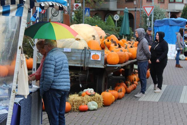 Starke Kürbis-Pracht: Auch landwirtschaftliche Erzeugnisse aus der Region stießen auf großes Interesse | Foto: ce