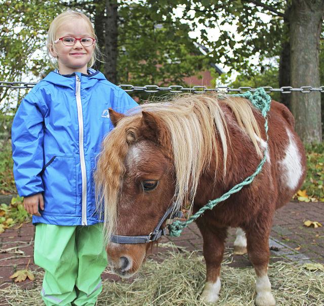 Das weiche Fell von Pony-Opa Charlie (22) streichelte Rike (4) am liebsten | Foto: jab