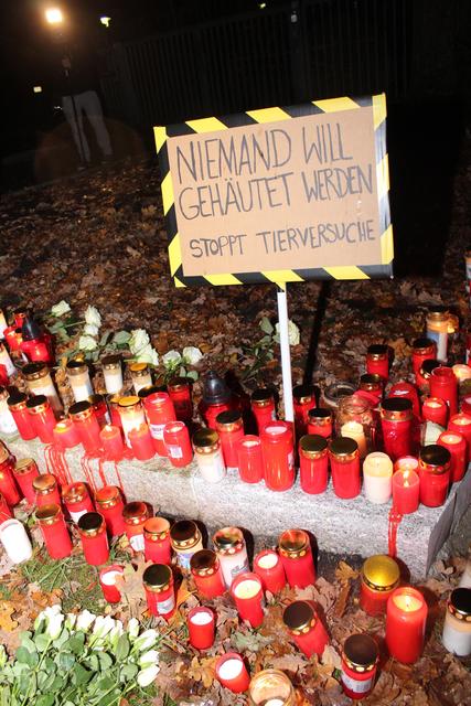 Hunterte Grablichter wurden angezündet | Foto: ab