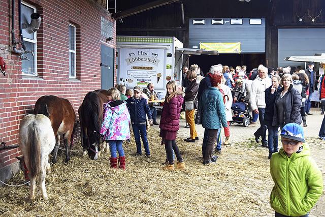 Der beliebte Viehmarkt steigt am Sonntag
auf dem Hof Marquardt
