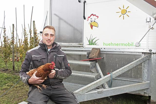 Bio-Obstbauer Henning Quast hofft, mit Hilfe seiner Hühner den Schädlingsbefall an den Obstbäumen auf natürliche Weise minimieren zu können | Foto: lt