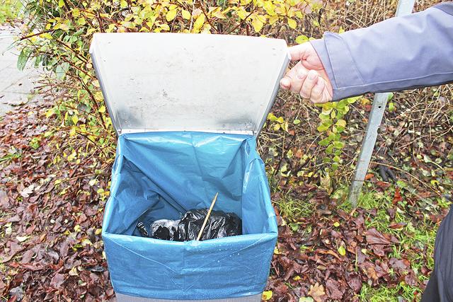 In den ausschließlich für Hundekot vorgesehenen Behältern wird gern auch anderer Müll entsorgt | Foto: lt