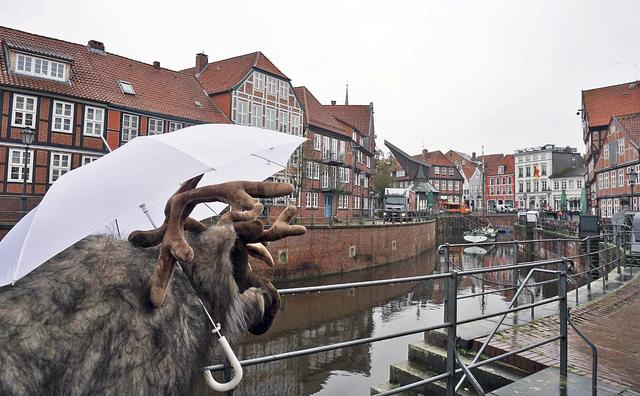 Gustav Karlsson genießt auch bei hanseatischen Schietwetter den Blick über den Hansehafen und den Fischmarkt | Foto: STADE Marketing und Tourismus GmbH/Carina Meyer
