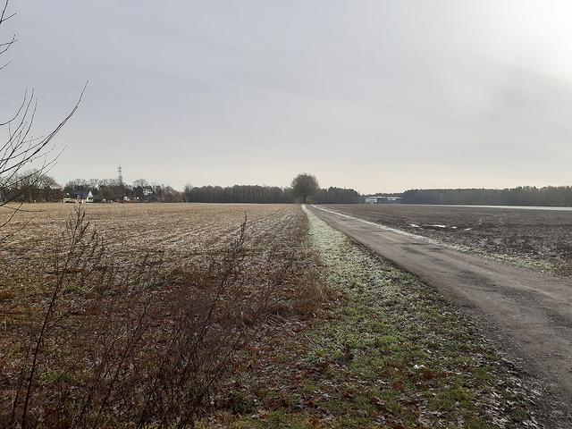 Kann hier ein Neubaugebiet entstehen? Dieses Areal zwischen der Bebauung an der Bremer Straße (li.) und dem Schulzentrum am Kattenberge (re.) soll in die Überlegungen einbezogen werden