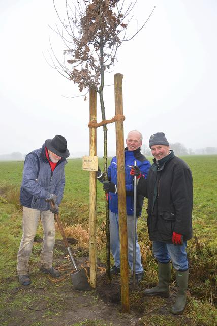 Letzte Arbeiten am Baum (v.li.): Herbert Dreyer, Dieter Rehfinger und Werner Meier
