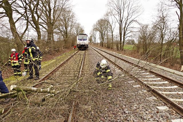 Auf der Bahnstrecke zwischen Stade und Hammah entfernte die Feuerwehr Bäume von den Gleisen  Foto: Hillyer-Funke/Feuerwehr