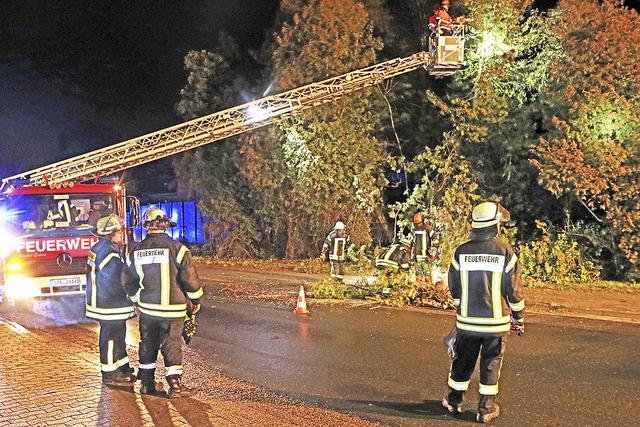 An der Apensener Straße in Buxtehude beseitigte die Feuerwehr einen Baum | Foto: jd