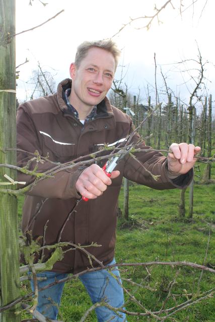 Im Winter sind Obstbauern wie Cord Lefers u.a. mit dem Baumschnitt beschäftigt. Da die Winter immer wärmer werden, müssen sie sich sputen