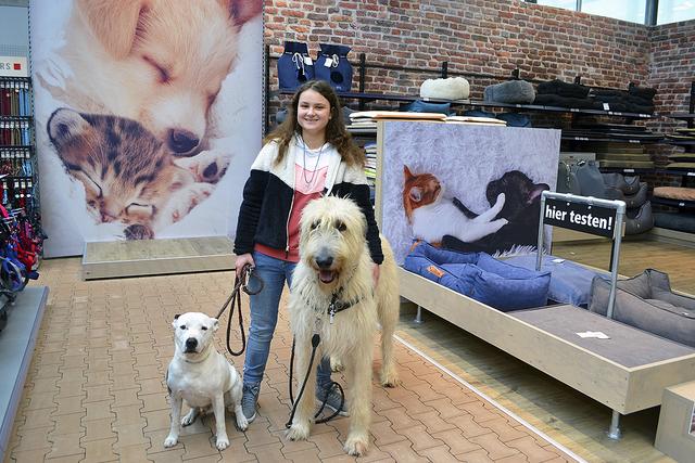 Jaslyn Wollermann sorgte mit ihrem großen irischen Wolfshund "Churchill" für Aufsehen. Sein kleiner Kumpel "Jayjay" testete die Hundebetten | Foto: bim