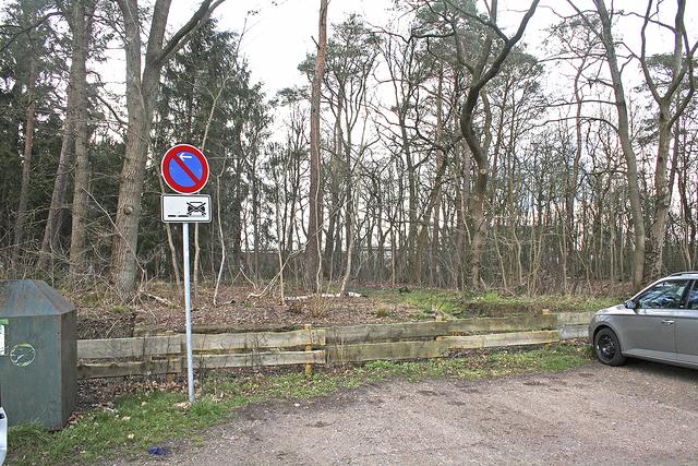 In diesem Waldstück - mit dem Krankenhaus im Hintergrund - könnte der Parkplatz entstehen