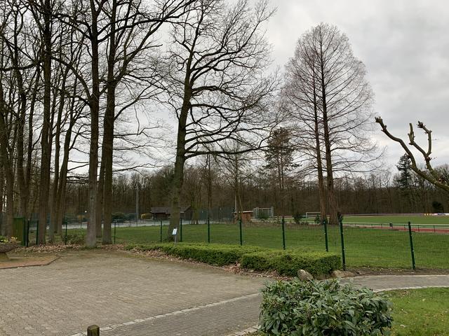 Hier soll das neue Zentrum entstehen