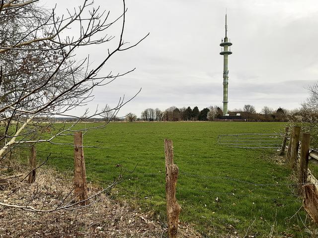 Auch Flächen südlich des Itzenbüttler Wegs sind für die Bebauung im Rahmen von "Buchholz 2025plus" vorgesehen