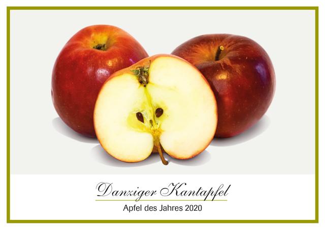 Wegen seiner knallroten Schale wird der "Danziger Kantapfel" auch "Liebesapfel" genannt