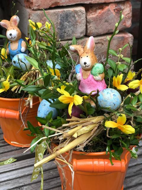 Mit diesen floralen Ostergrüßen wollen Mathias Buschmann und Steffen Lücking Bewohnern und Pflegepersonal einen Gruß übermitteln