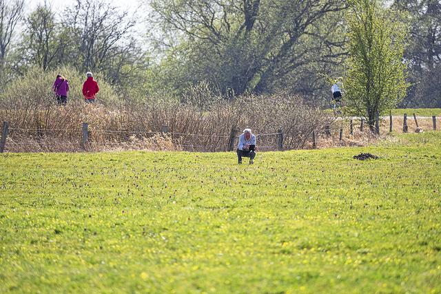 Das soll nicht sein: Besucher betreten die empfindlichen Wiesen, auf denen die Schachblume blüht Fotos: Matthias Clausen