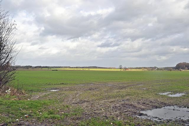 Auf dieser landwirtschaftliche Fläche sollen Baugrundstücke entstehen