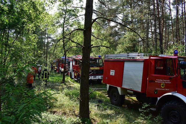 Foto: Forstwirtschaftliche Vereinigung