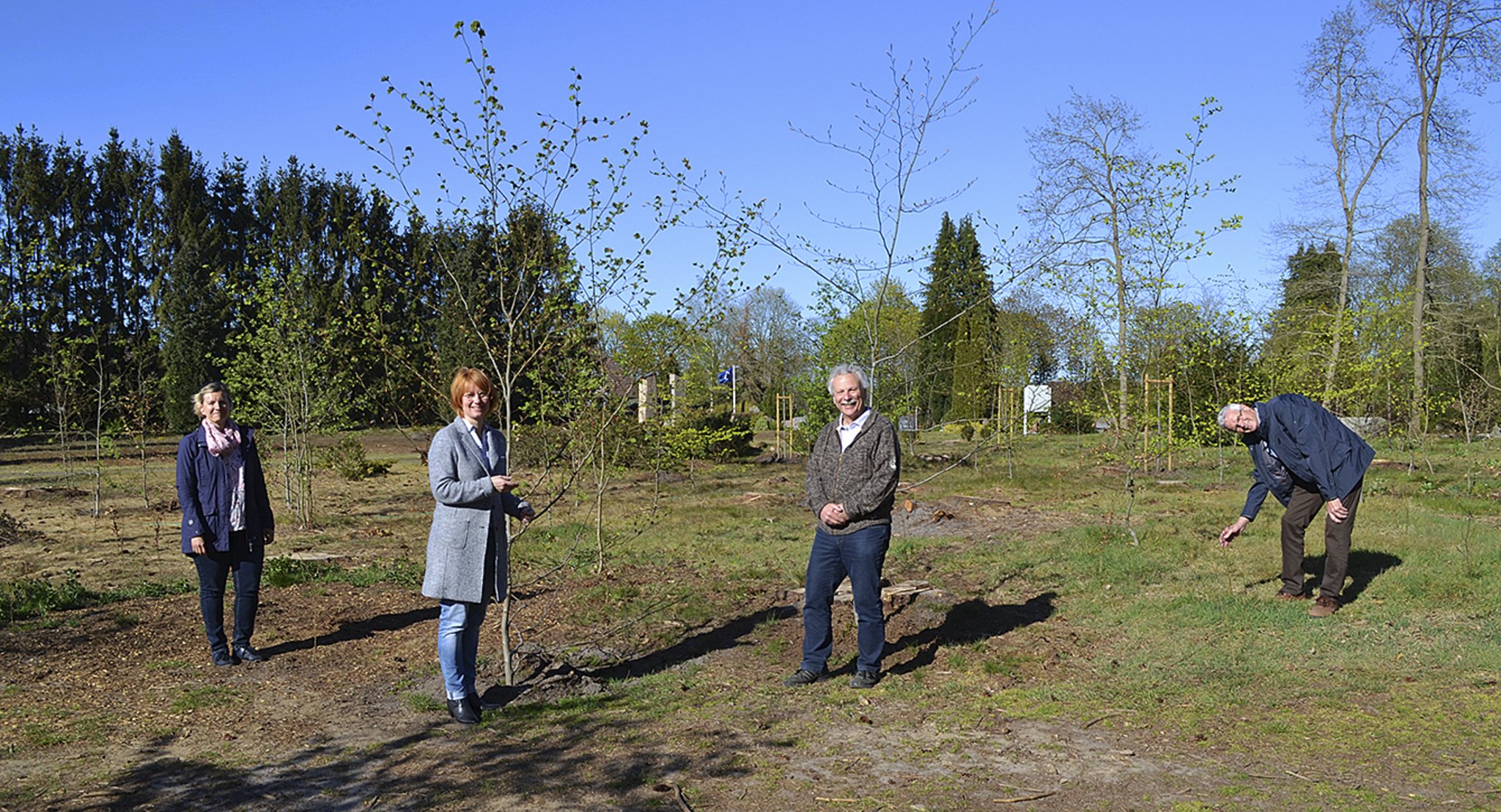 Friedhofsloh Welle Ein Bestattungswald ohne Bäume Tostedt