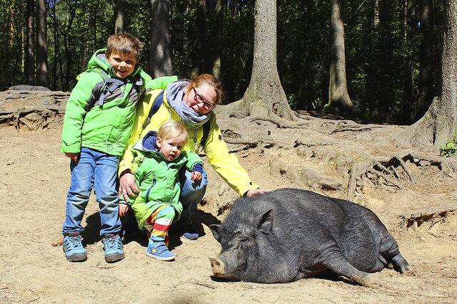 Nico (li.), Milo und Mama Yvonne Bross freuen sich riesig, dass sie die Tiere im Wildpark Schwarze Berge wieder besuchen können. Und auch das Hängebauchschwein genießt die Besucher