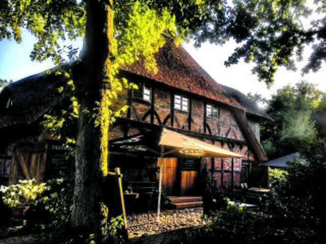 Lokale Restaurants wie das Destino unterstützen die Aktion