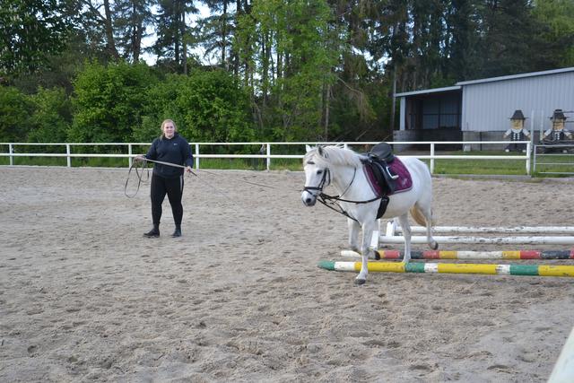 Johanna arbeitet mit dem Lieblingspony Lennox an der Longe