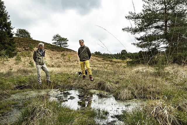 Die Quellen der Töps Heide profitieren von mehr Grundwasserneubildung - darüber freuen sich Matthias Pantelmann (re.) und Dr. Jörg Grossmann