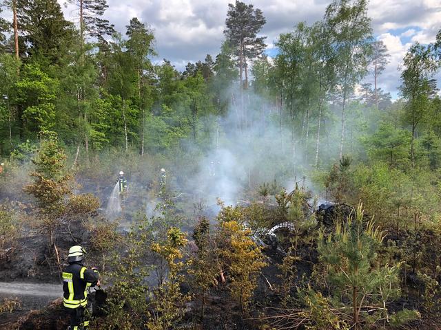 Foto: Uwe Härlen / Feuerwehr Stelle