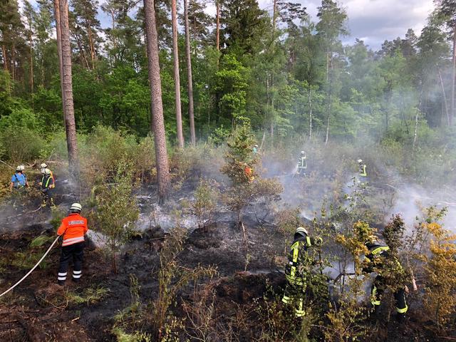Foto: Uwe Härlen / Feuerwehr Stelle