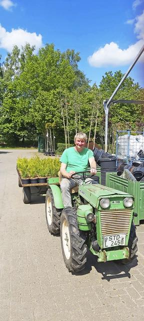 Kurze Transportwege: Rolf Lühnen zieht einen Großteil der Pflanzen, die er verkauft, selbst