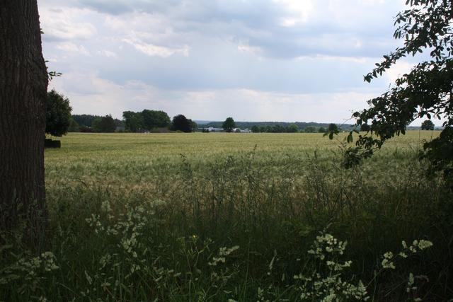 Auf einem Teil dieses Ackers soll das Neubaugebiet entstehen