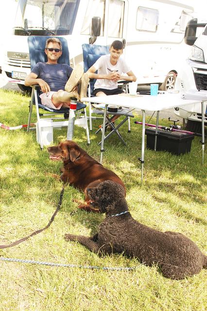 Totale Entspannung: Vierbeiner Susi und Ole mit Herrchen Holger Tietze und Sohn Tom  | Foto: sla