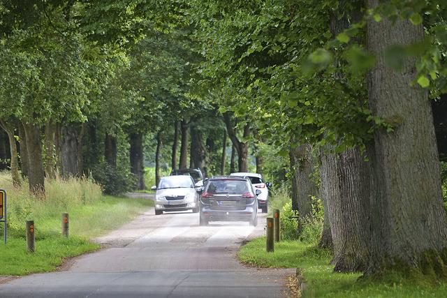 Ein Bild aus dem Jahr 2017 zeigt den Umleitungsverkehr aufgrund der B3-Baustelle. Die Moorstraße wird auch sonst von vielen Fahrzeugführern aus dem Heidekreis als überörtliche Verbindung genutzt