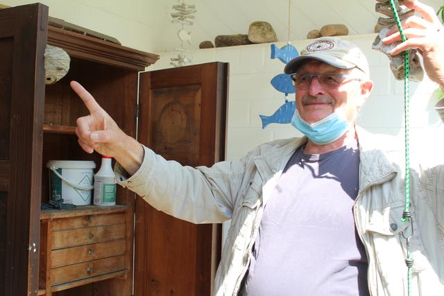 Wespen, und ihre Nester, werden von vielen Menschen als nervig oder gefährlich empfunden - dabei spielen sie eine wichtige Rolle in der Natur. Manfred Meyer, ehrenamtlicher Insektenberater des Landkreises Harburg, wird gerufen, wenn ein Nest entfernt werden soll. Er klärt über die schwarz-gelben Insekten auf | Foto: as