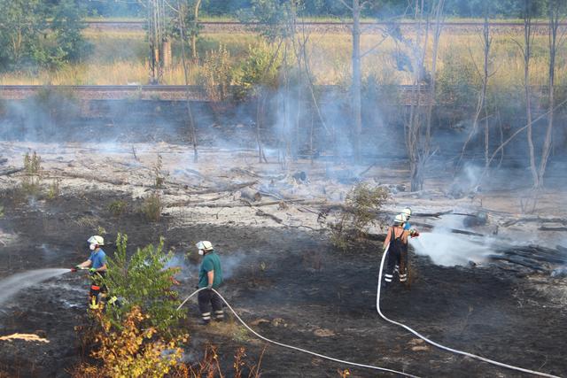Rund ein Hektar Wald verbrannten